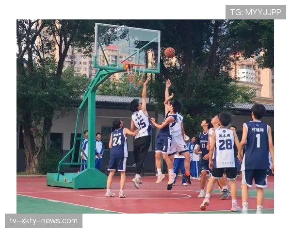 篮球前场规则具体包含哪些内容以及在实际比赛中是如何判定