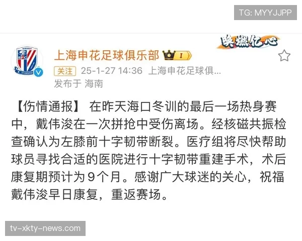 主力重伤将引发的更大危机！上海申花还能保持豪门定位吗？